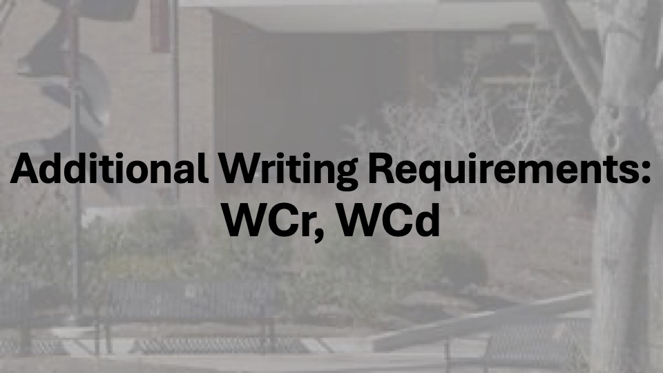Additional Writing Requirements